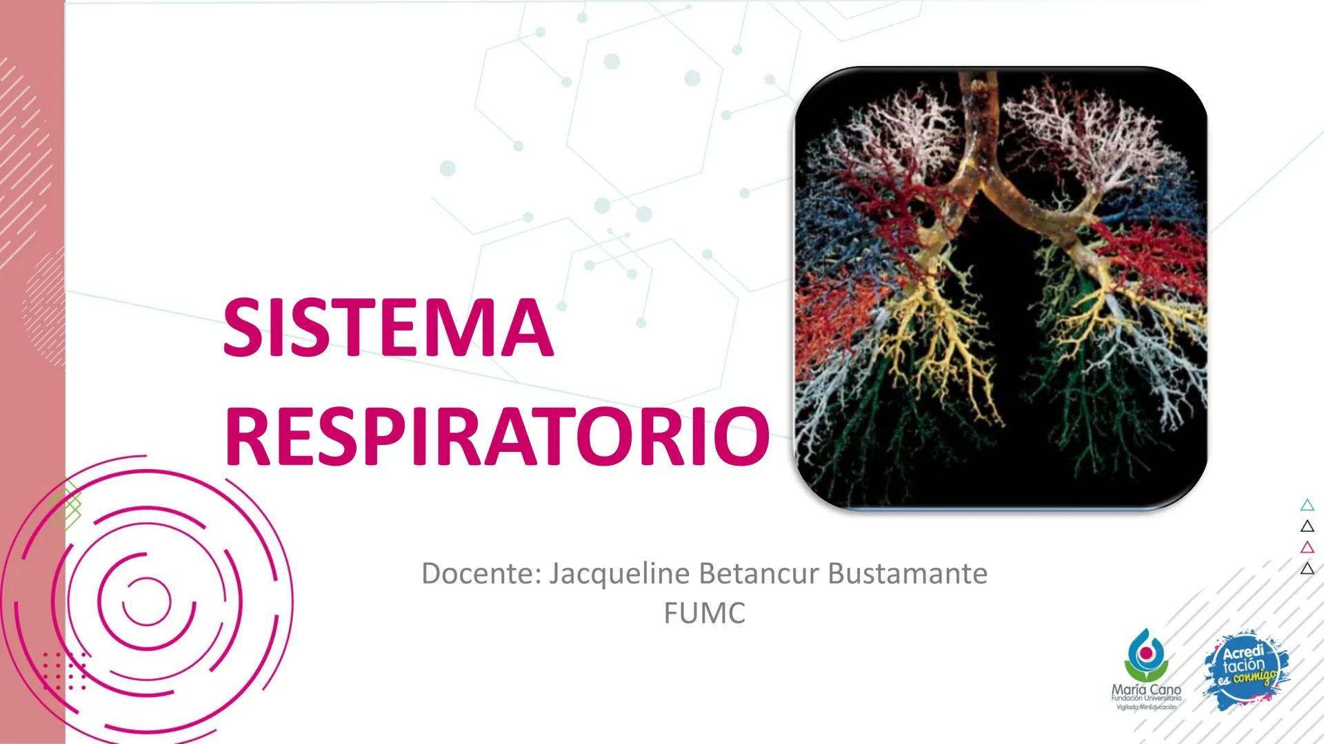 # SISTEMA
RESPIRATORIO
Docente: Jacqueline Betancur Bustamante
FUMC
María Cano
Fundación Universitaria
Vigilada MinEducación
Acredi
tac