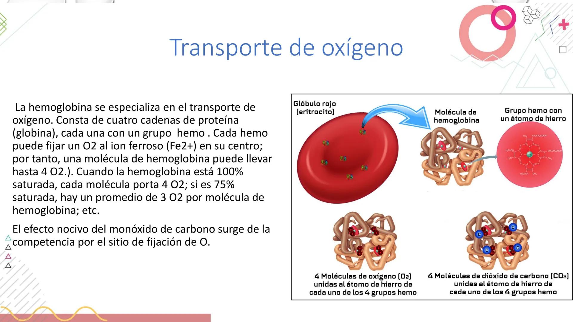 # SISTEMA
RESPIRATORIO
Docente: Jacqueline Betancur Bustamante
FUMC
María Cano
Fundación Universitaria
Vigilada MinEducación
Acredi
tac