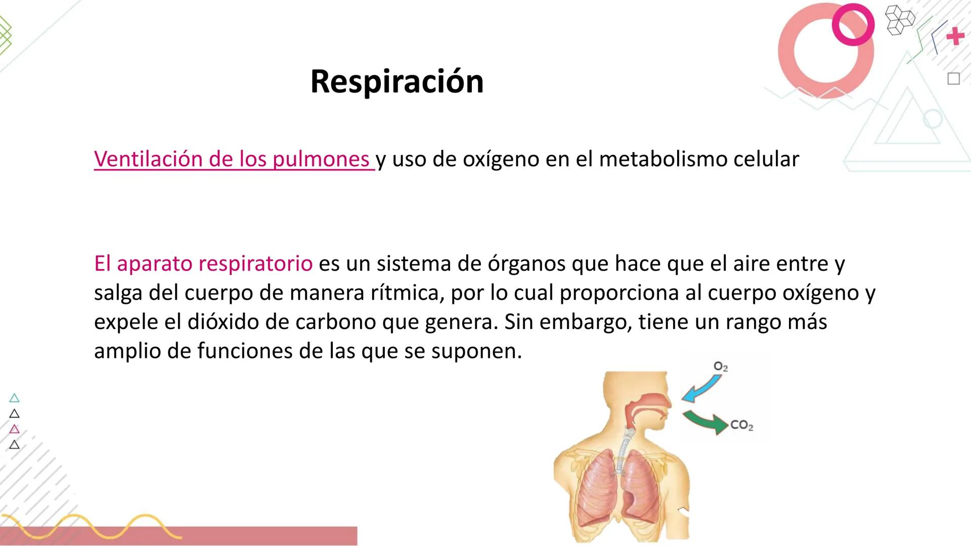 # SISTEMA
RESPIRATORIO
Docente: Jacqueline Betancur Bustamante
FUMC
María Cano
Fundación Universitaria
Vigilada MinEducación
Acredi
tac