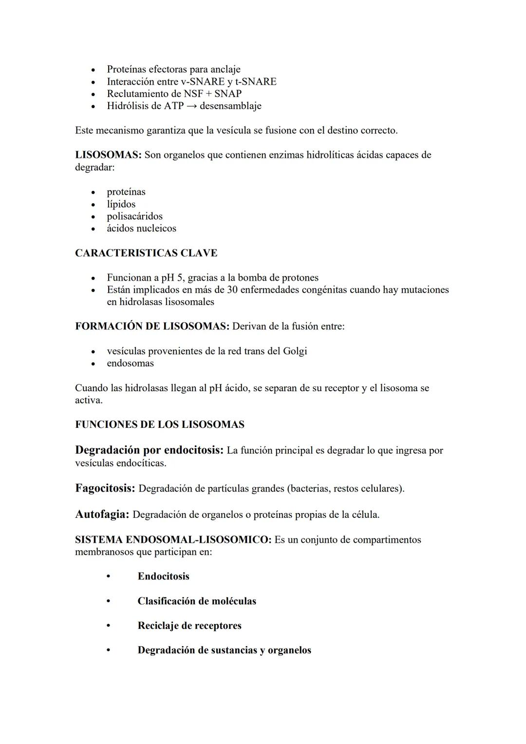 # Núcleo: El núcleo es el organelo central de las células eucariotas y su característica más
distintiva. Es la estructura donde se almacena,
