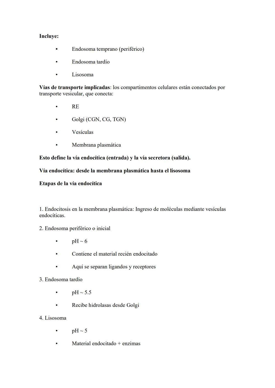 # Núcleo: El núcleo es el organelo central de las células eucariotas y su característica más
distintiva. Es la estructura donde se almacena,