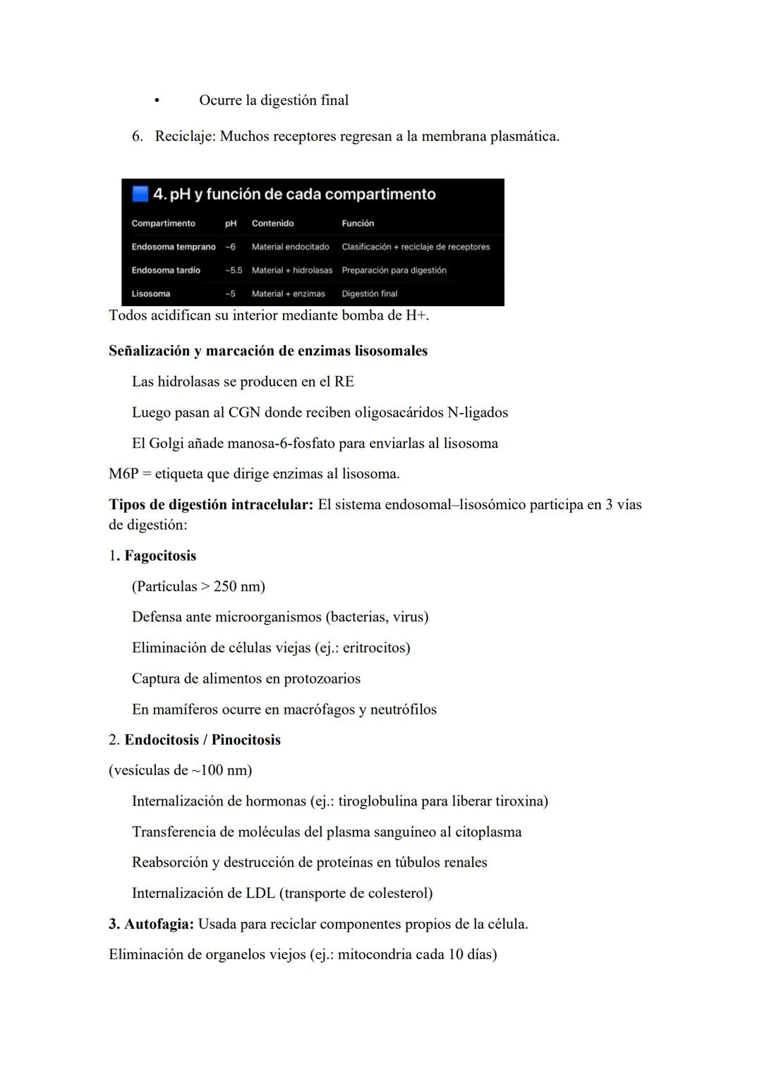 # Núcleo: El núcleo es el organelo central de las células eucariotas y su característica más
distintiva. Es la estructura donde se almacena,