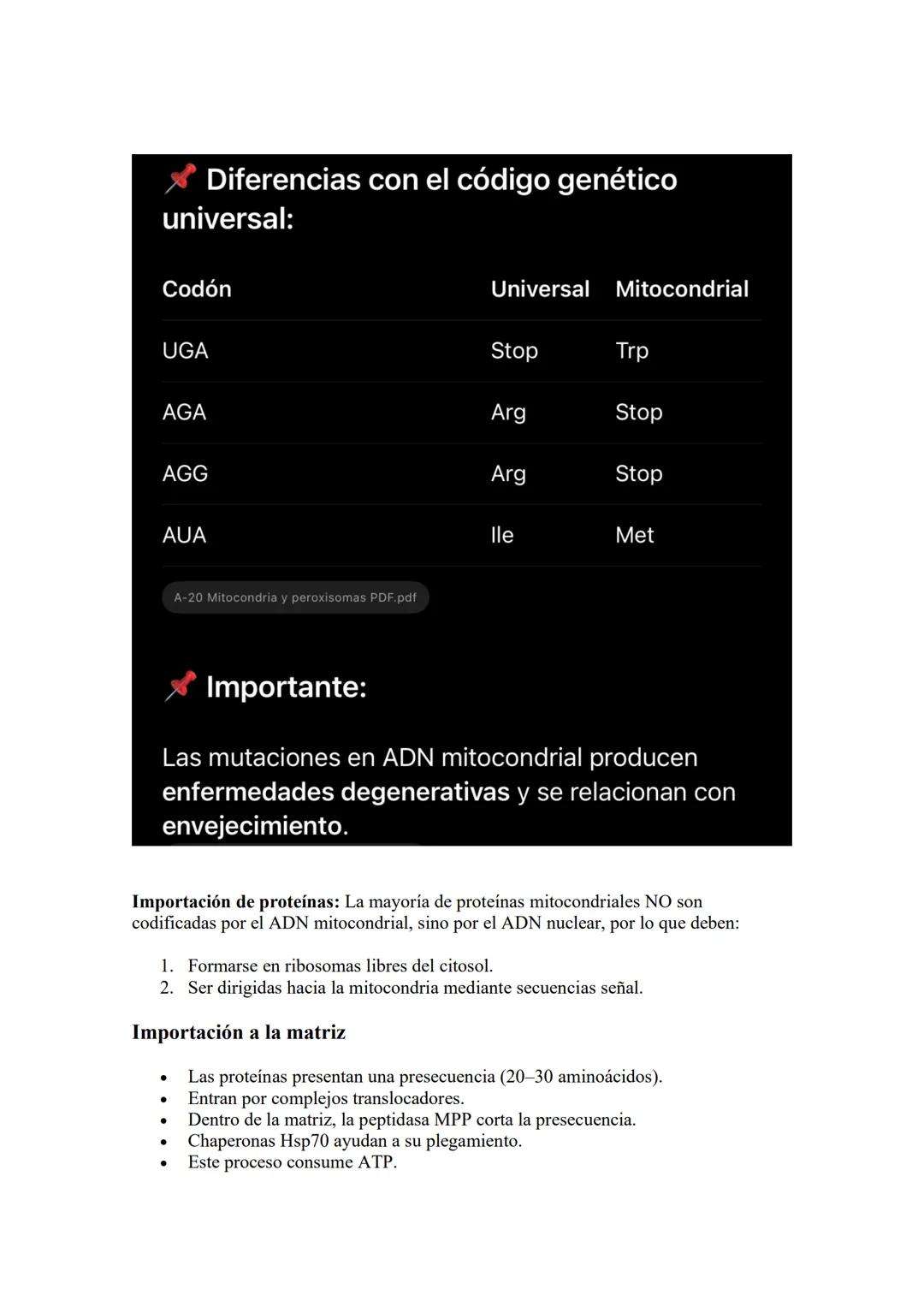 # Núcleo: El núcleo es el organelo central de las células eucariotas y su característica más
distintiva. Es la estructura donde se almacena,