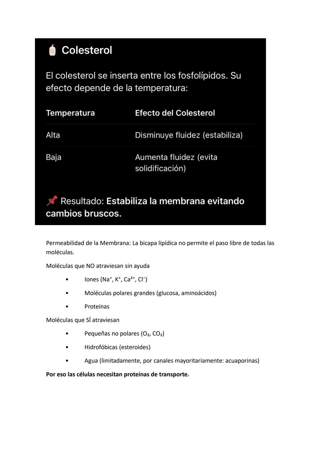 # Núcleo: El núcleo es el organelo central de las células eucariotas y su característica más
distintiva. Es la estructura donde se almacena,