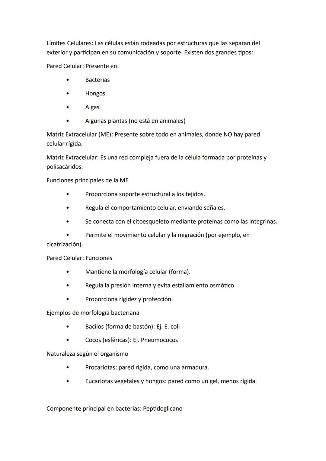 # Núcleo: El núcleo es el organelo central de las células eucariotas y su característica más
distintiva. Es la estructura donde se almacena,