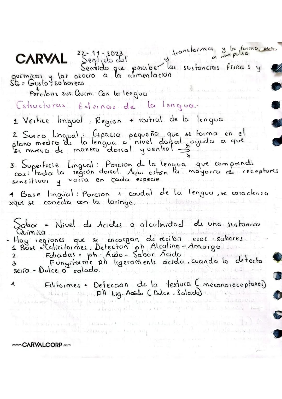 # Estesiologia CARVAL
Ciencia que estudia los gunos de los
senlidos
1. Vista Es el sentido que interpreta las ondas fotonicas (Lur) y el
ó
