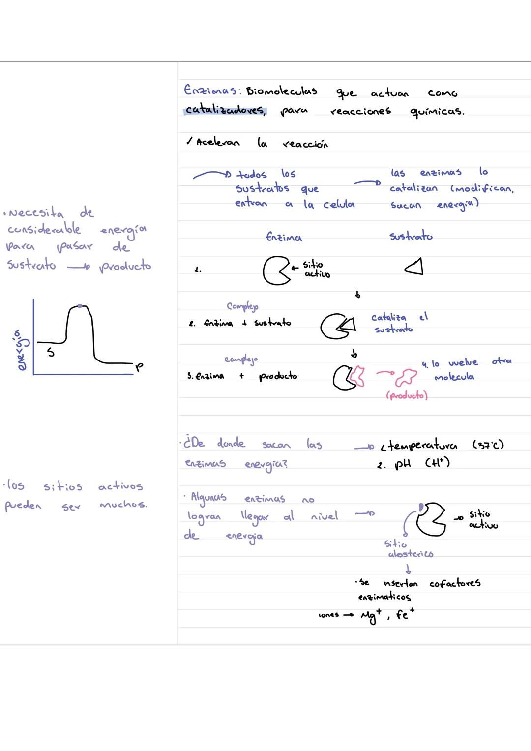 Now those are the eyes I've been waiting to see. - Necesita de
considerable energía
Para pasar de
Sustrato producto
energia
S
P
Enzimas: Bi