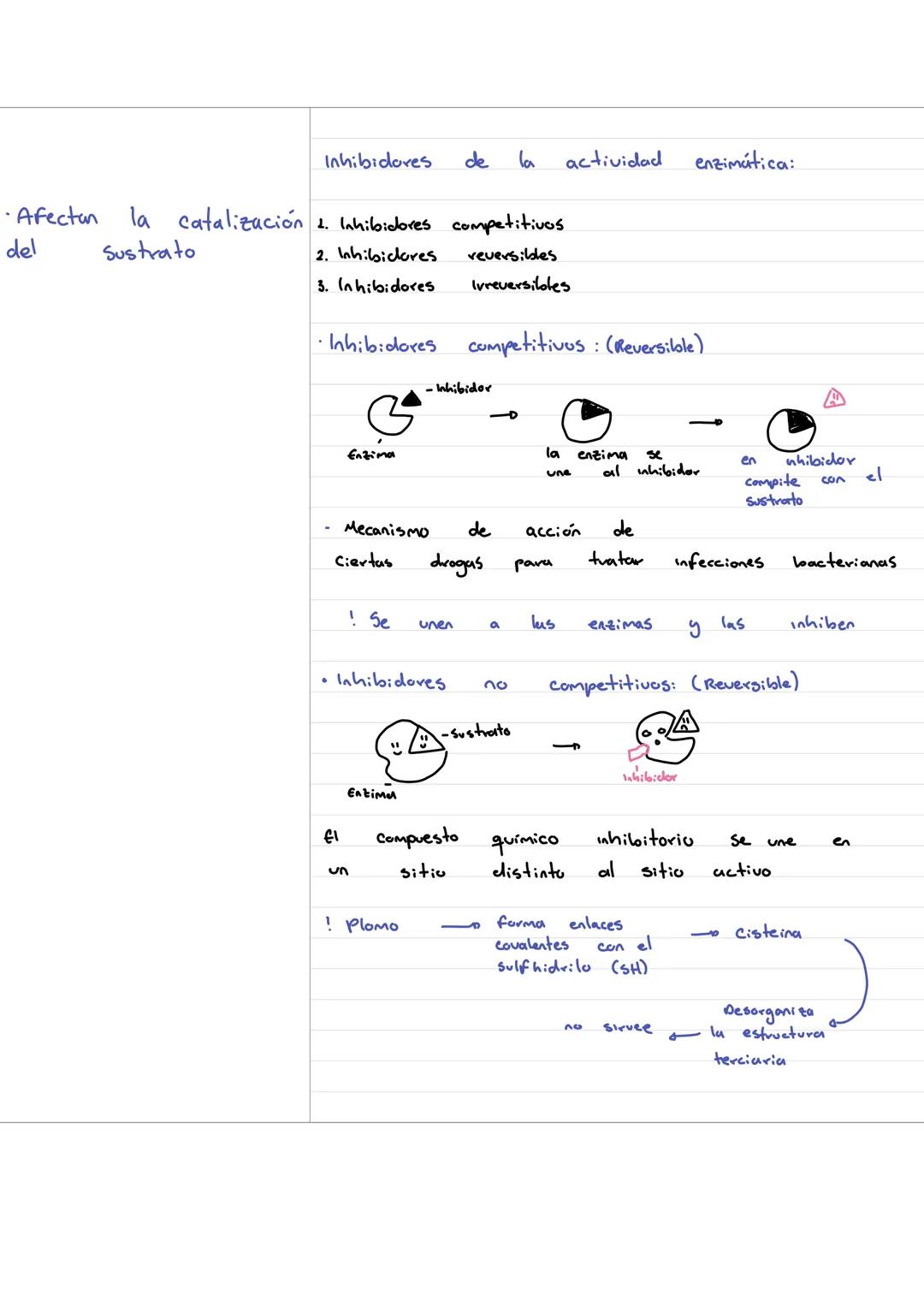 Now those are the eyes I've been waiting to see. - Necesita de
considerable energía
Para pasar de
Sustrato producto
energia
S
P
Enzimas: Bi