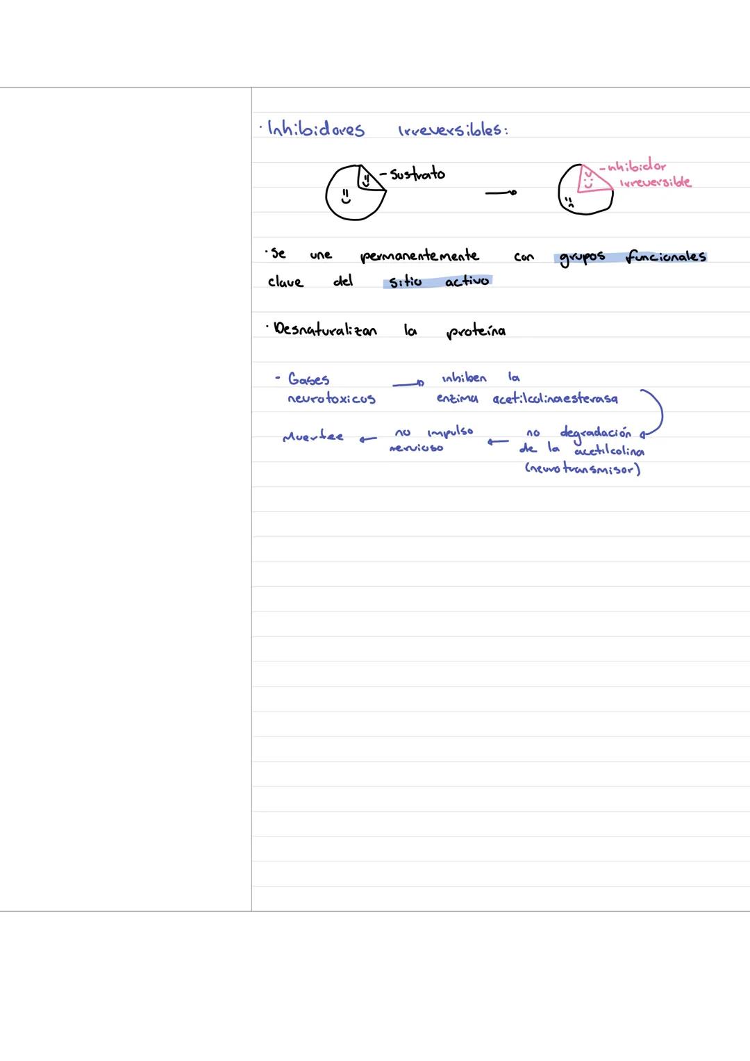 Now those are the eyes I've been waiting to see. - Necesita de
considerable energía
Para pasar de
Sustrato producto
energia
S
P
Enzimas: Bi