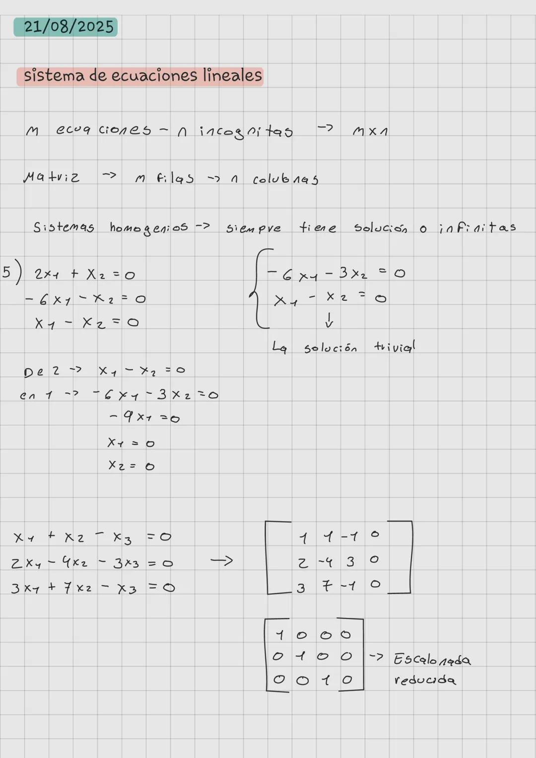 14/08/2025
Temas
- sistemas de ecuaciones lineales
- Matrices
- Determinantes
- Vectores
- Espacios vectoriales
- Transfornaciones lineale