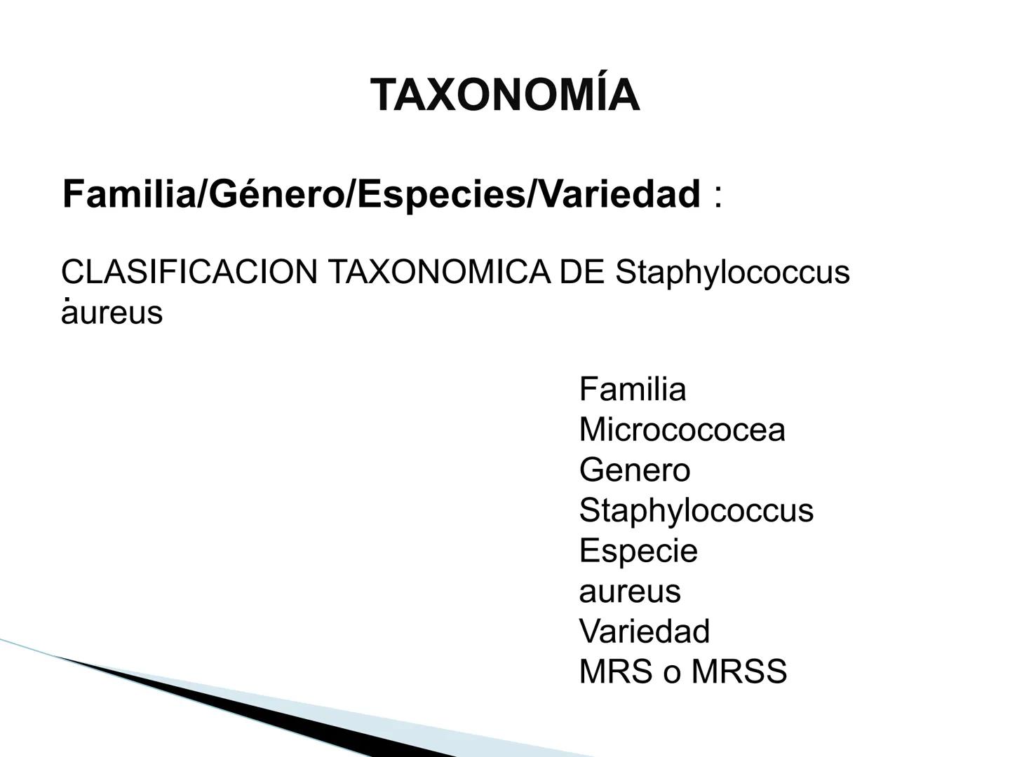 # BACTERIAS
GENERALIDADES
MICROBIOLOGÍA
Adriana Marcela Gómez
Fernández # LAS BACTERIAS
Las bacterias son microorganismos
unicelulares, si
