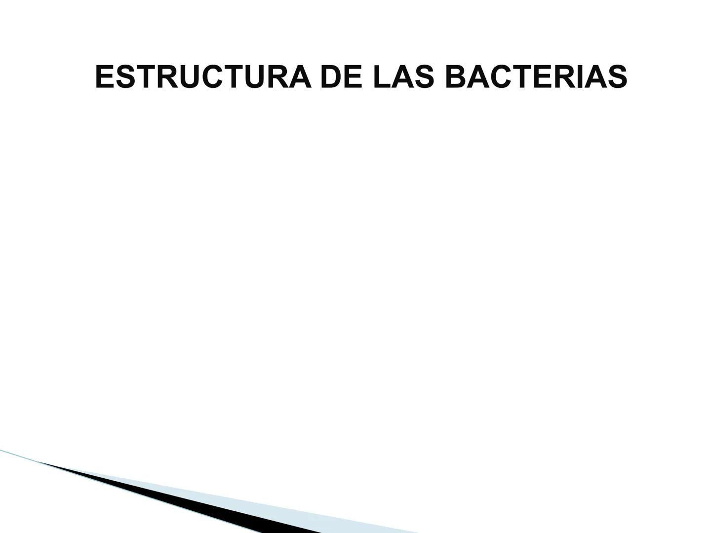 # BACTERIAS
GENERALIDADES
MICROBIOLOGÍA
Adriana Marcela Gómez
Fernández # LAS BACTERIAS
Las bacterias son microorganismos
unicelulares, si