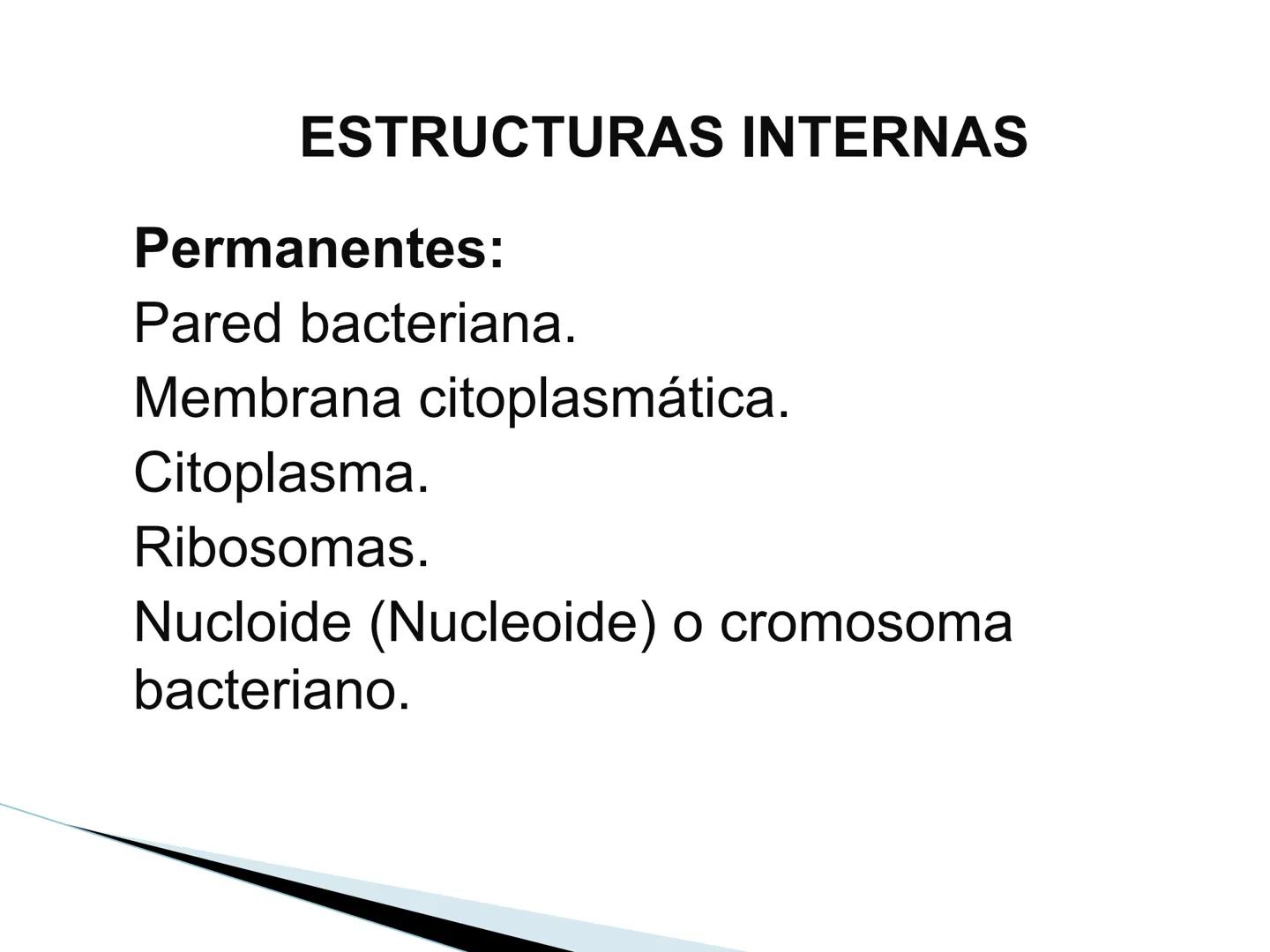 # BACTERIAS
GENERALIDADES
MICROBIOLOGÍA
Adriana Marcela Gómez
Fernández # LAS BACTERIAS
Las bacterias son microorganismos
unicelulares, si