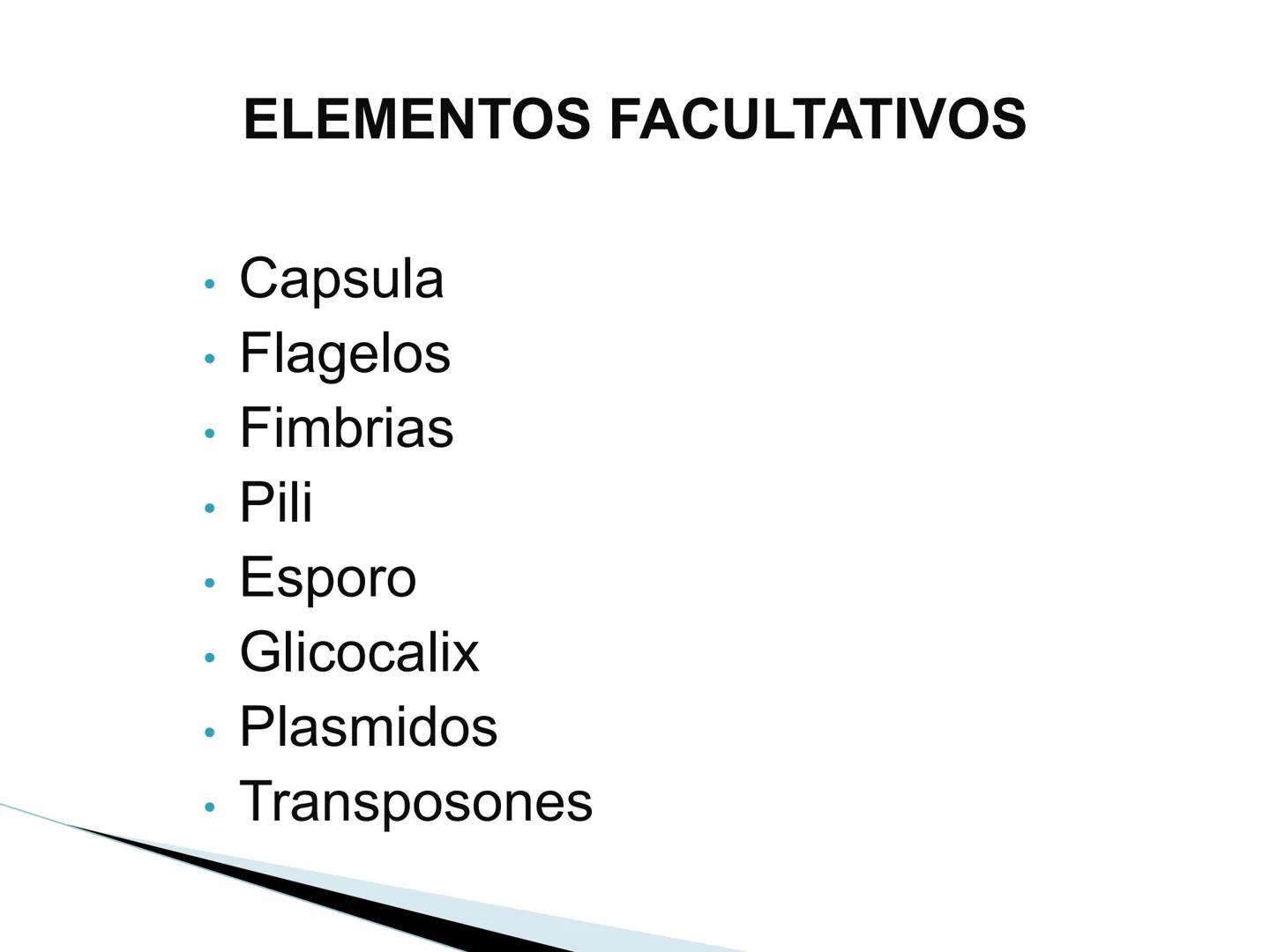# BACTERIAS
GENERALIDADES
MICROBIOLOGÍA
Adriana Marcela Gómez
Fernández # LAS BACTERIAS
Las bacterias son microorganismos
unicelulares, si