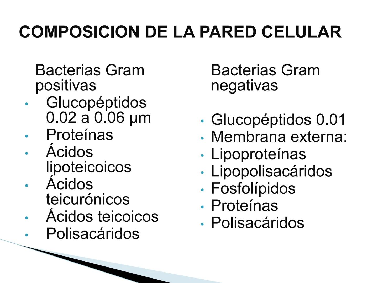 # BACTERIAS
GENERALIDADES
MICROBIOLOGÍA
Adriana Marcela Gómez
Fernández # LAS BACTERIAS
Las bacterias son microorganismos
unicelulares, si