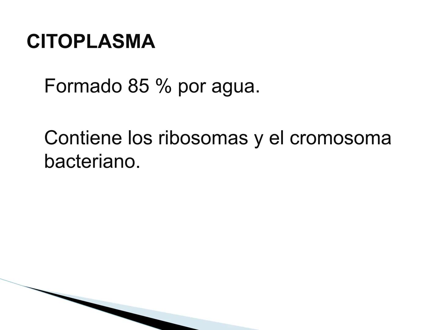 # BACTERIAS
GENERALIDADES
MICROBIOLOGÍA
Adriana Marcela Gómez
Fernández # LAS BACTERIAS
Las bacterias son microorganismos
unicelulares, si