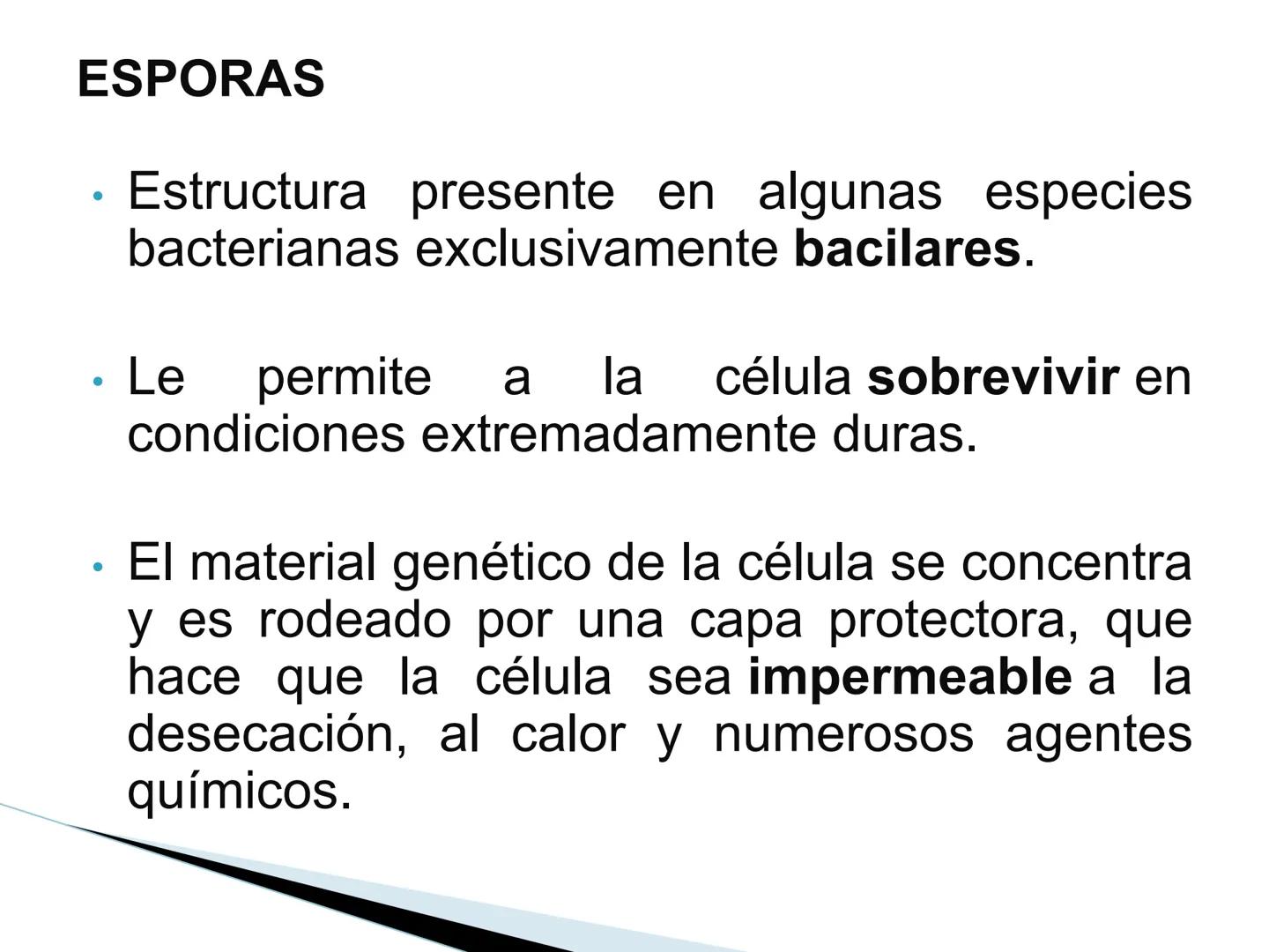 # BACTERIAS
GENERALIDADES
MICROBIOLOGÍA
Adriana Marcela Gómez
Fernández # LAS BACTERIAS
Las bacterias son microorganismos
unicelulares, si