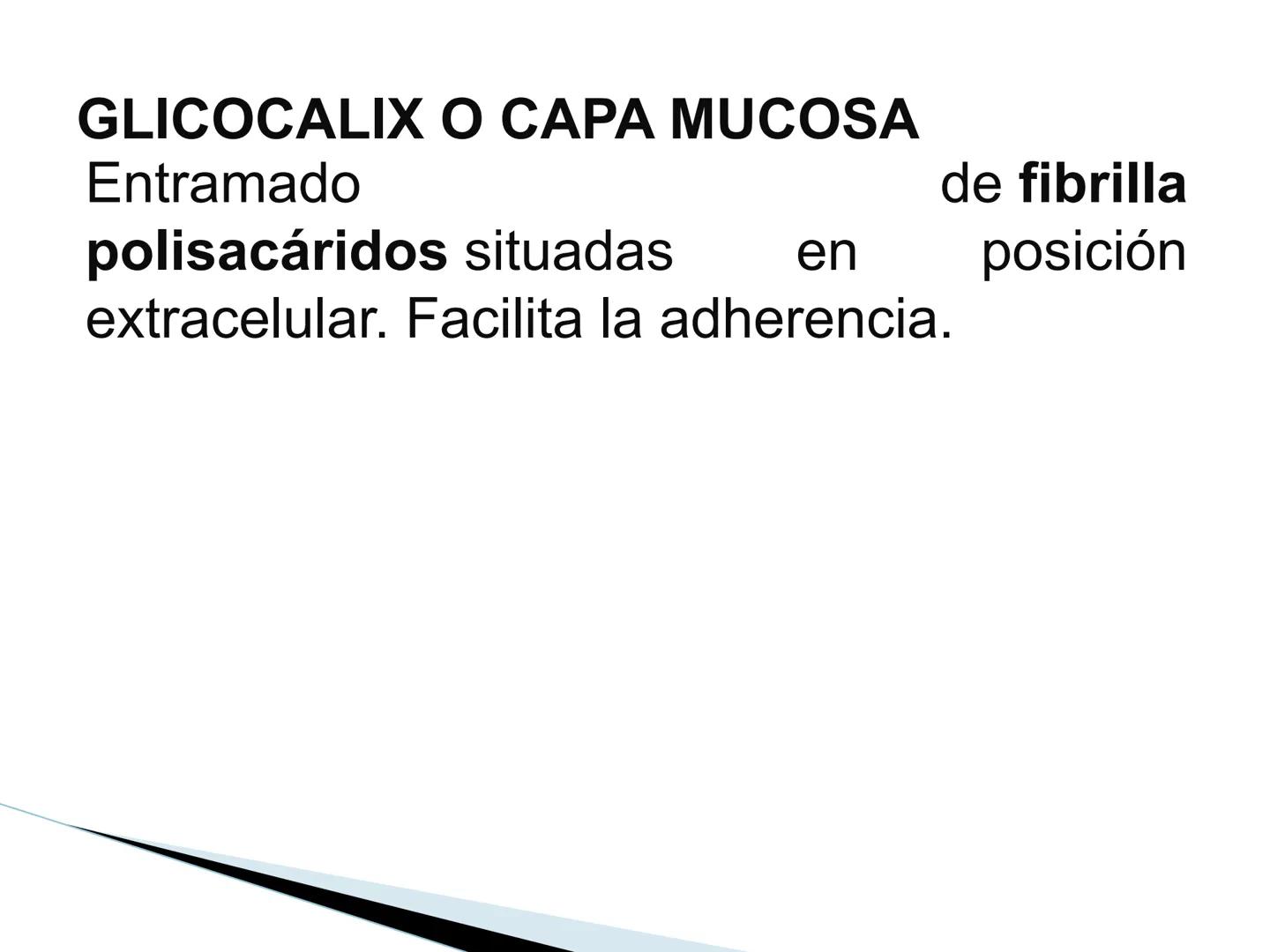 # BACTERIAS
GENERALIDADES
MICROBIOLOGÍA
Adriana Marcela Gómez
Fernández # LAS BACTERIAS
Las bacterias son microorganismos
unicelulares, si