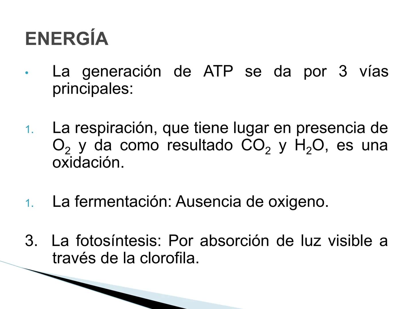 # BACTERIAS
GENERALIDADES
MICROBIOLOGÍA
Adriana Marcela Gómez
Fernández # LAS BACTERIAS
Las bacterias son microorganismos
unicelulares, si