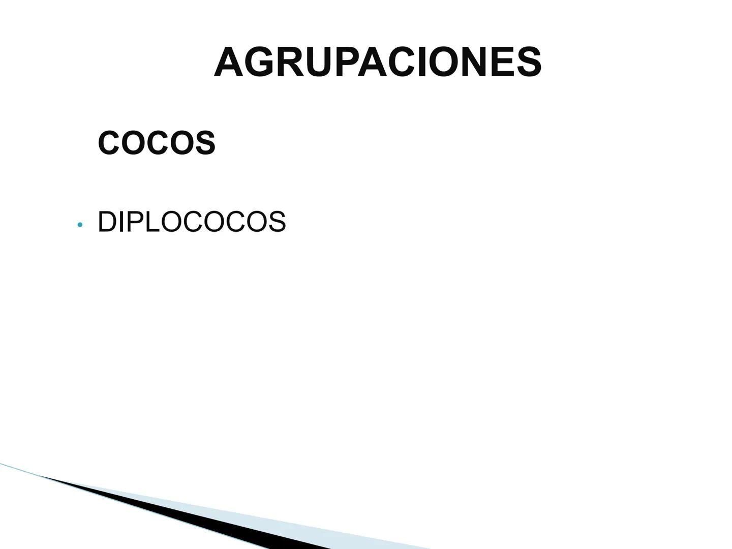 # BACTERIAS
GENERALIDADES
MICROBIOLOGÍA
Adriana Marcela Gómez
Fernández # LAS BACTERIAS
Las bacterias son microorganismos
unicelulares, si