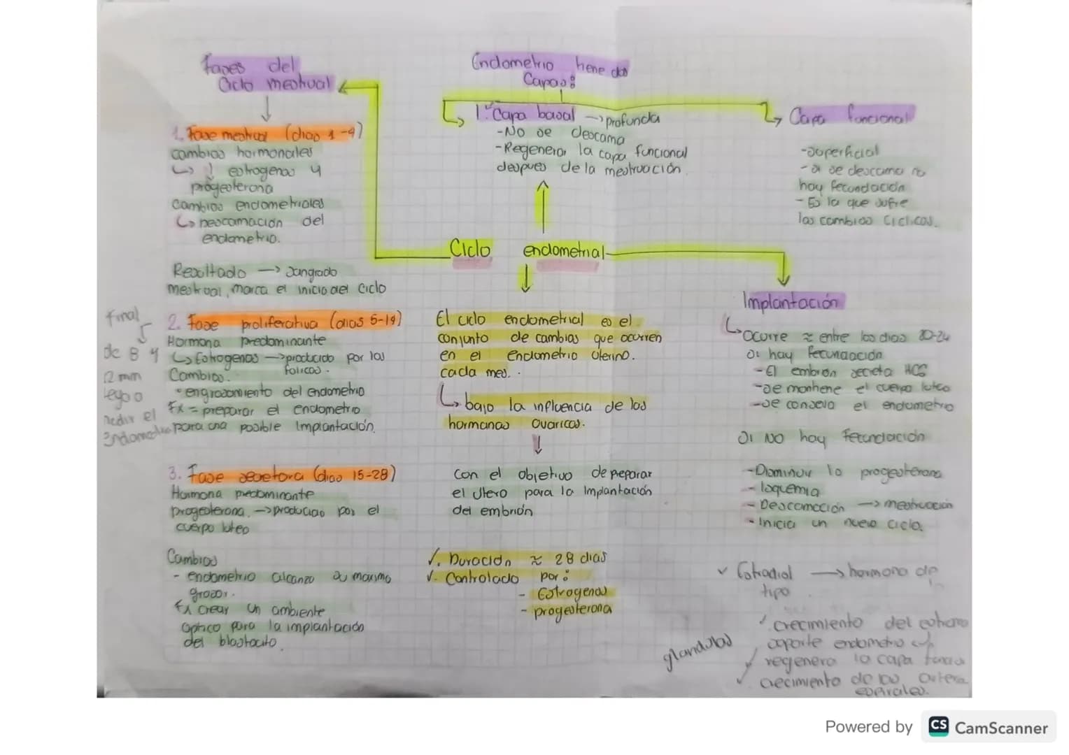 # Embriologia
De estudia el desarrollo del embrión desde la fecunciación
hasta el nacimiento be enfoca En los procevod de formación,
crecim