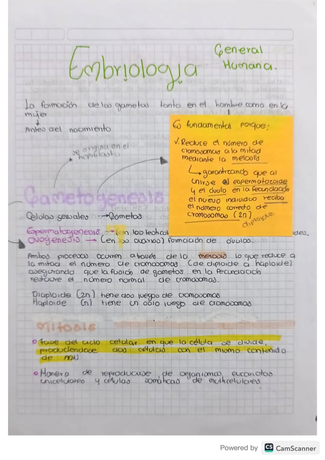 # Embriologia
De estudia el desarrollo del embrión desde la fecunciación
hasta el nacimiento be enfoca En los procevod de formación,
crecim