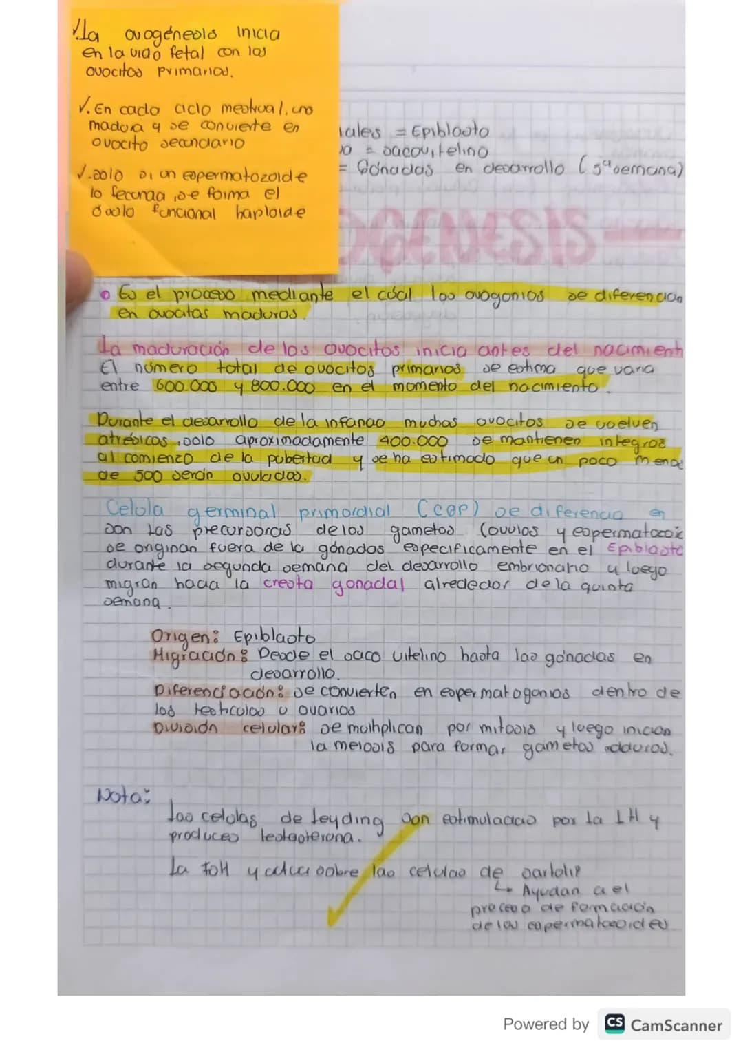 # Embriologia
De estudia el desarrollo del embrión desde la fecunciación
hasta el nacimiento be enfoca En los procevod de formación,
crecim