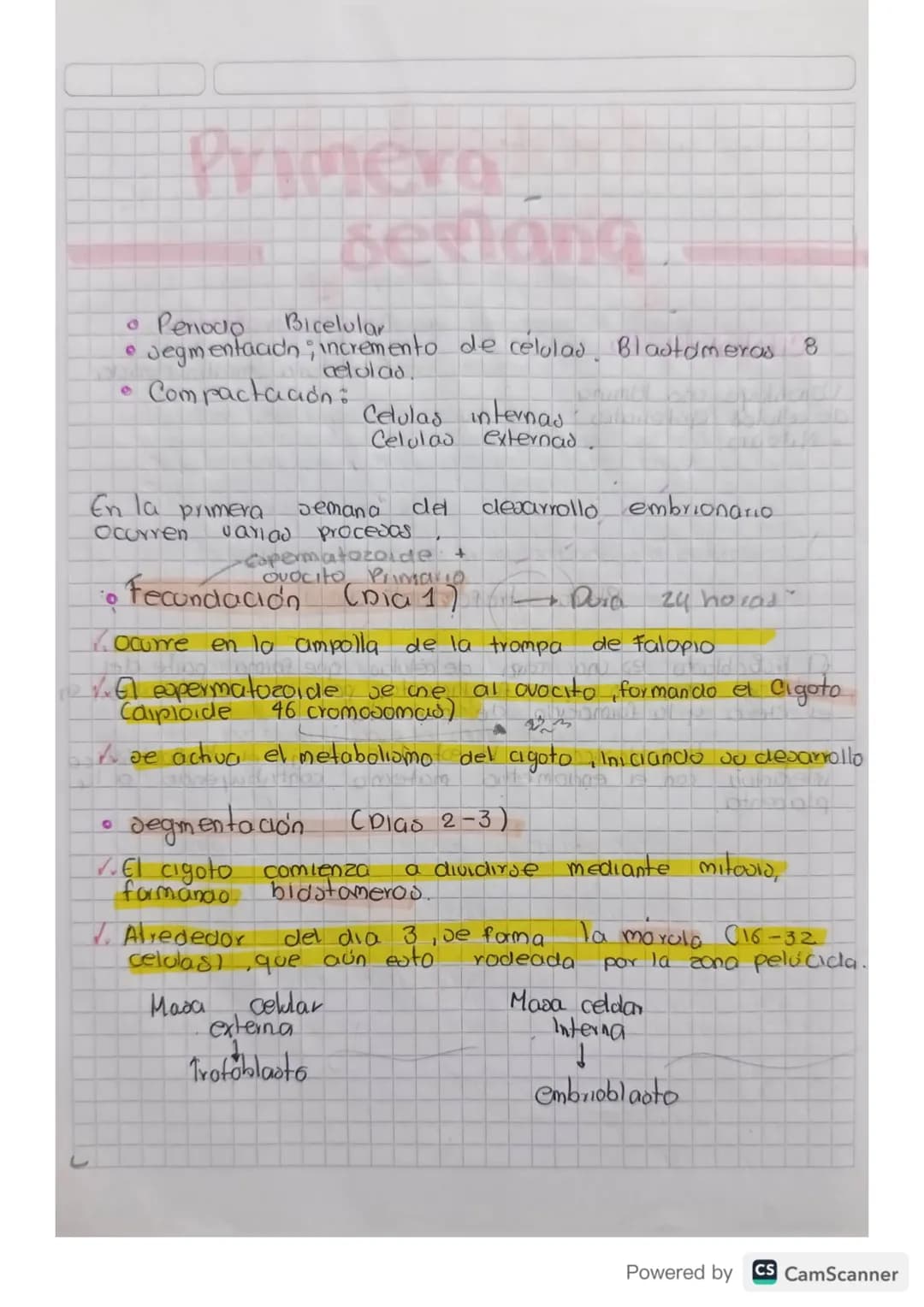 # Embriologia
De estudia el desarrollo del embrión desde la fecunciación
hasta el nacimiento be enfoca En los procevod de formación,
crecim