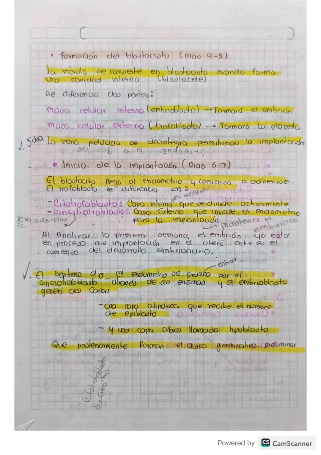 # Embriologia
De estudia el desarrollo del embrión desde la fecunciación
hasta el nacimiento be enfoca En los procevod de formación,
crecim