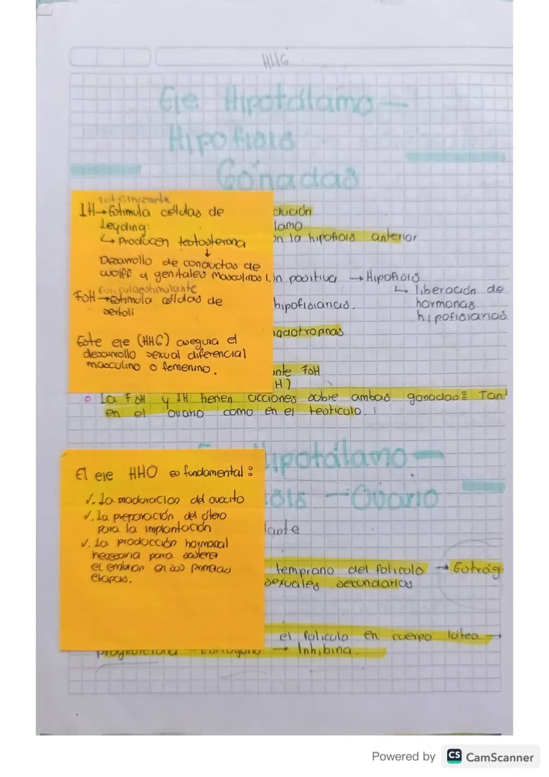 # Embriologia
De estudia el desarrollo del embrión desde la fecunciación
hasta el nacimiento be enfoca En los procevod de formación,
crecim