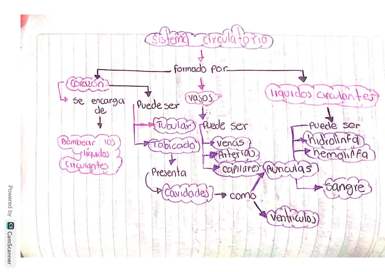# Solución
1. El chicle natural se
obtiene de la savia del árbol
de chicle, que es originario
de América Central, para poder
sacar. Se hace