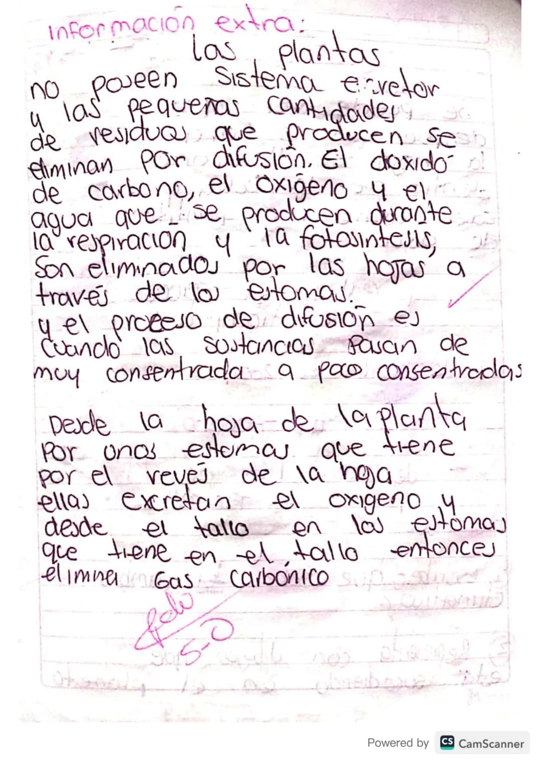 # Solución
1. El chicle natural se
obtiene de la savia del árbol
de chicle, que es originario
de América Central, para poder
sacar. Se hace