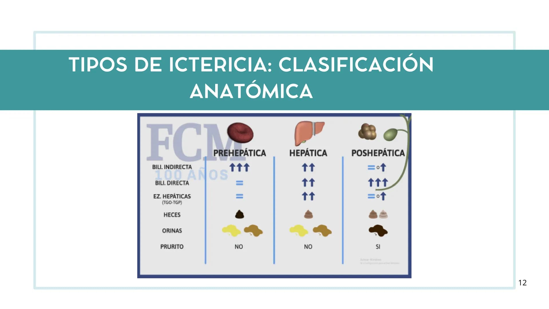 # FORMACIÓN DE LA BILIS
* Colesterol
* Electrolitos y
agua
* Sales Biliares
* Bilirrubina
* Fosfolipidos
Canal biliar
Arteri