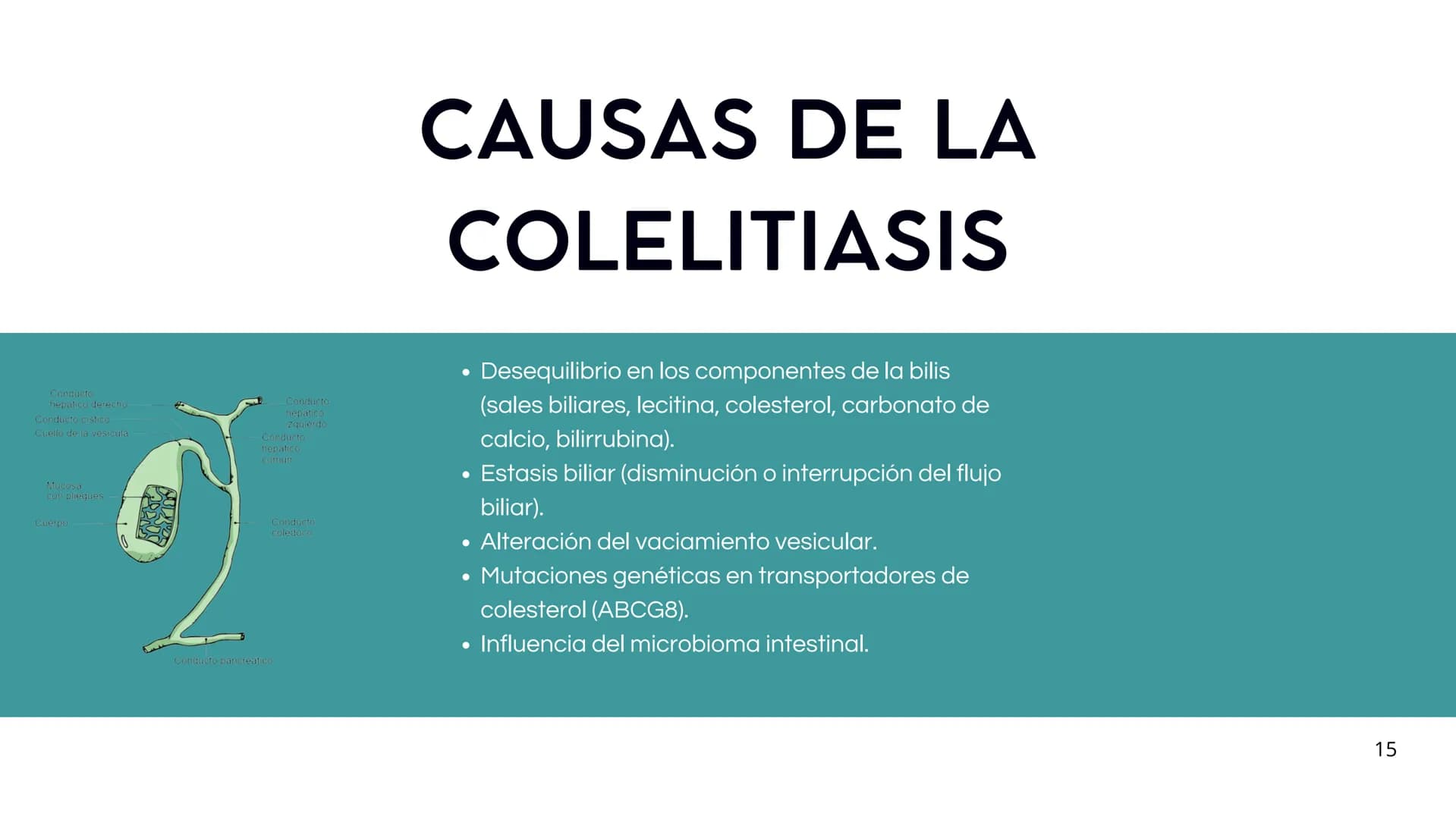 # FORMACIÓN DE LA BILIS
* Colesterol
* Electrolitos y
agua
* Sales Biliares
* Bilirrubina
* Fosfolipidos
Canal biliar
Arteri