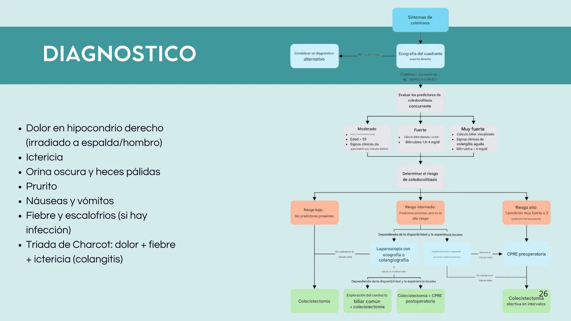 # FORMACIÓN DE LA BILIS
* Colesterol
* Electrolitos y
agua
* Sales Biliares
* Bilirrubina
* Fosfolipidos
Canal biliar
Arteri