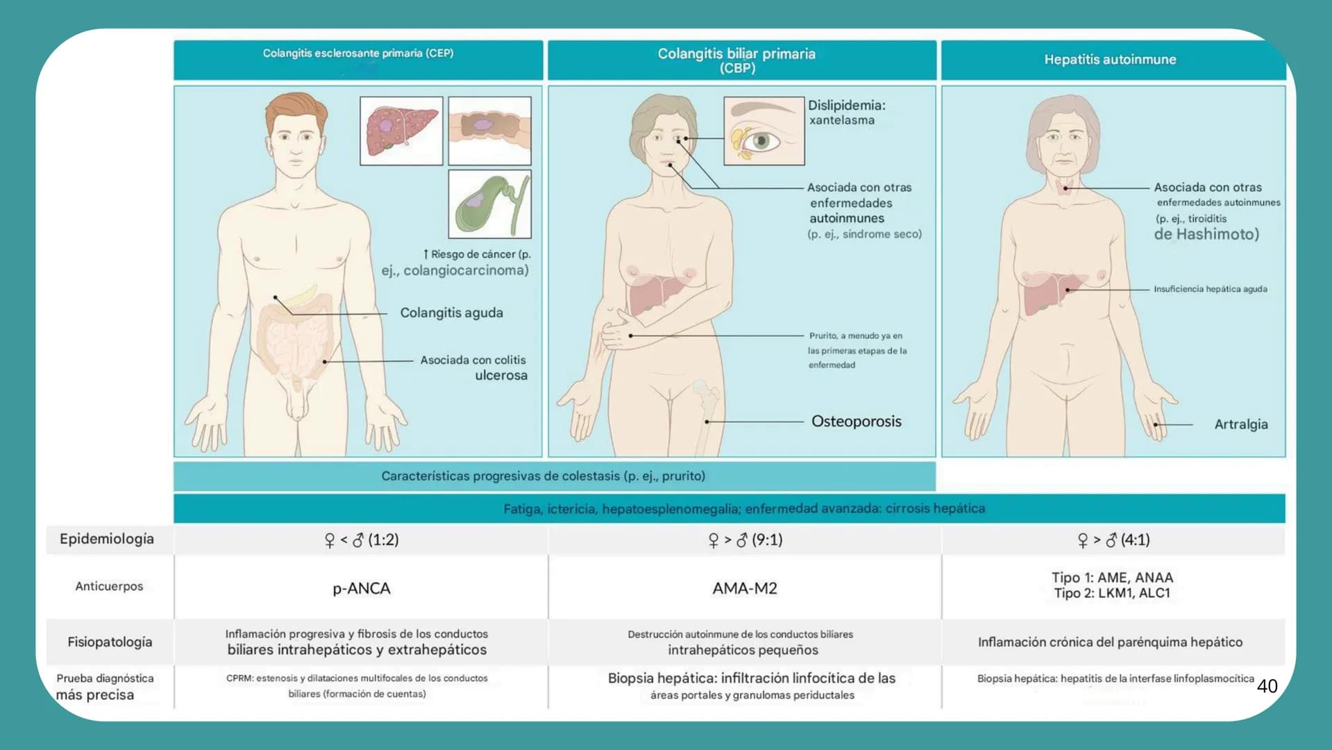 # FORMACIÓN DE LA BILIS
* Colesterol
* Electrolitos y
agua
* Sales Biliares
* Bilirrubina
* Fosfolipidos
Canal biliar
Arteri