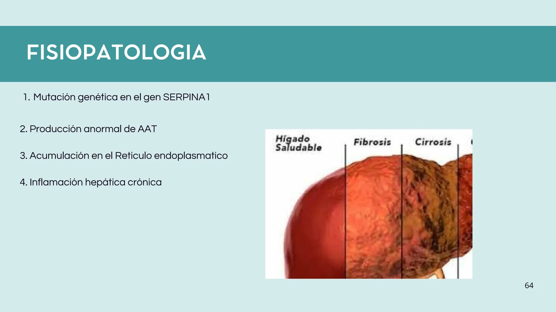 # FORMACIÓN DE LA BILIS
* Colesterol
* Electrolitos y
agua
* Sales Biliares
* Bilirrubina
* Fosfolipidos
Canal biliar
Arteri