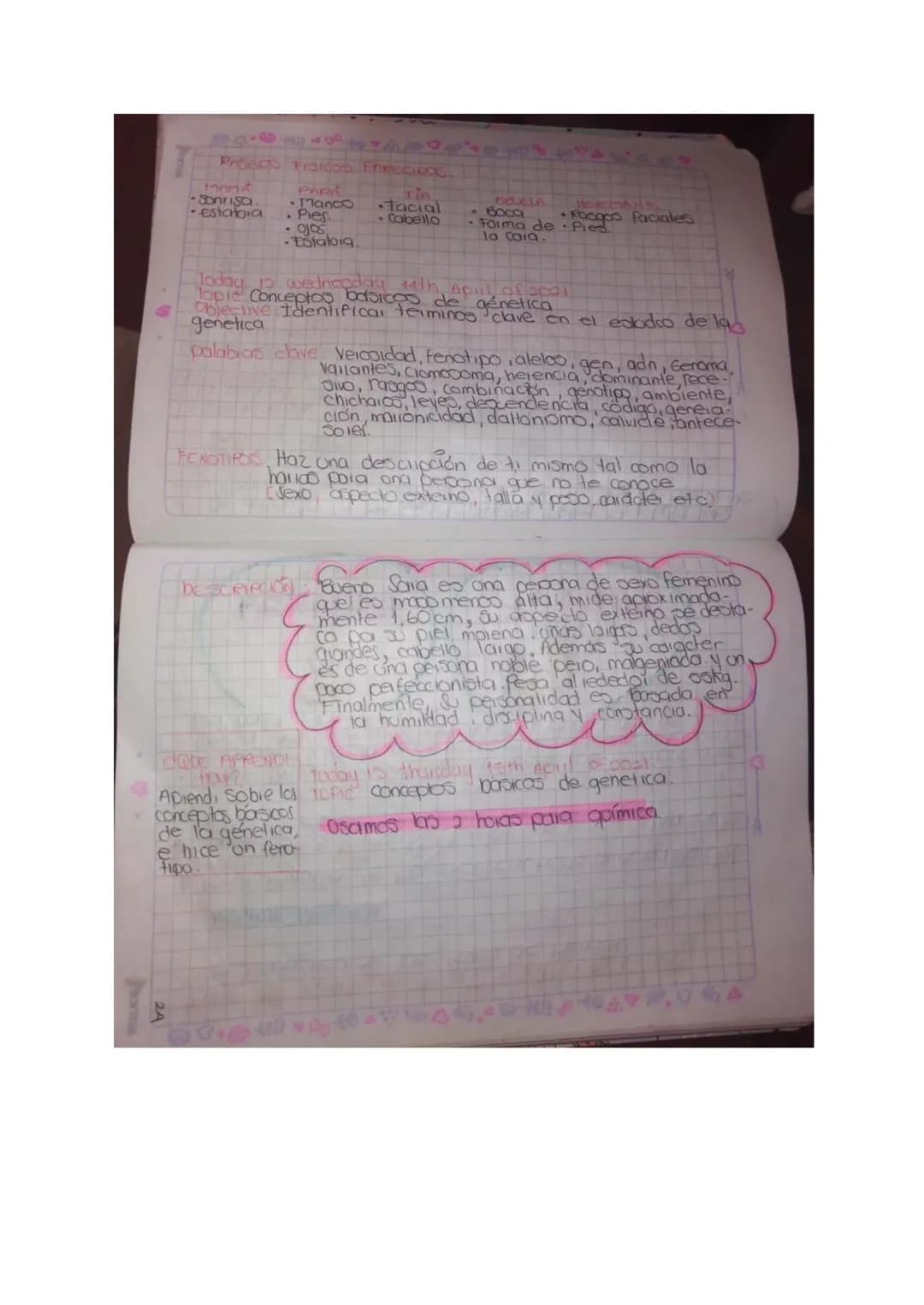 Nor
## LICEO MANDEL ELLIN PATARROPO
ASIGNATURA: Ciencias naturales.
CURSO: Novero-902
ESTUDIANTE: Qluego Quiroga gaia Ferranda.
PERIODO: 11