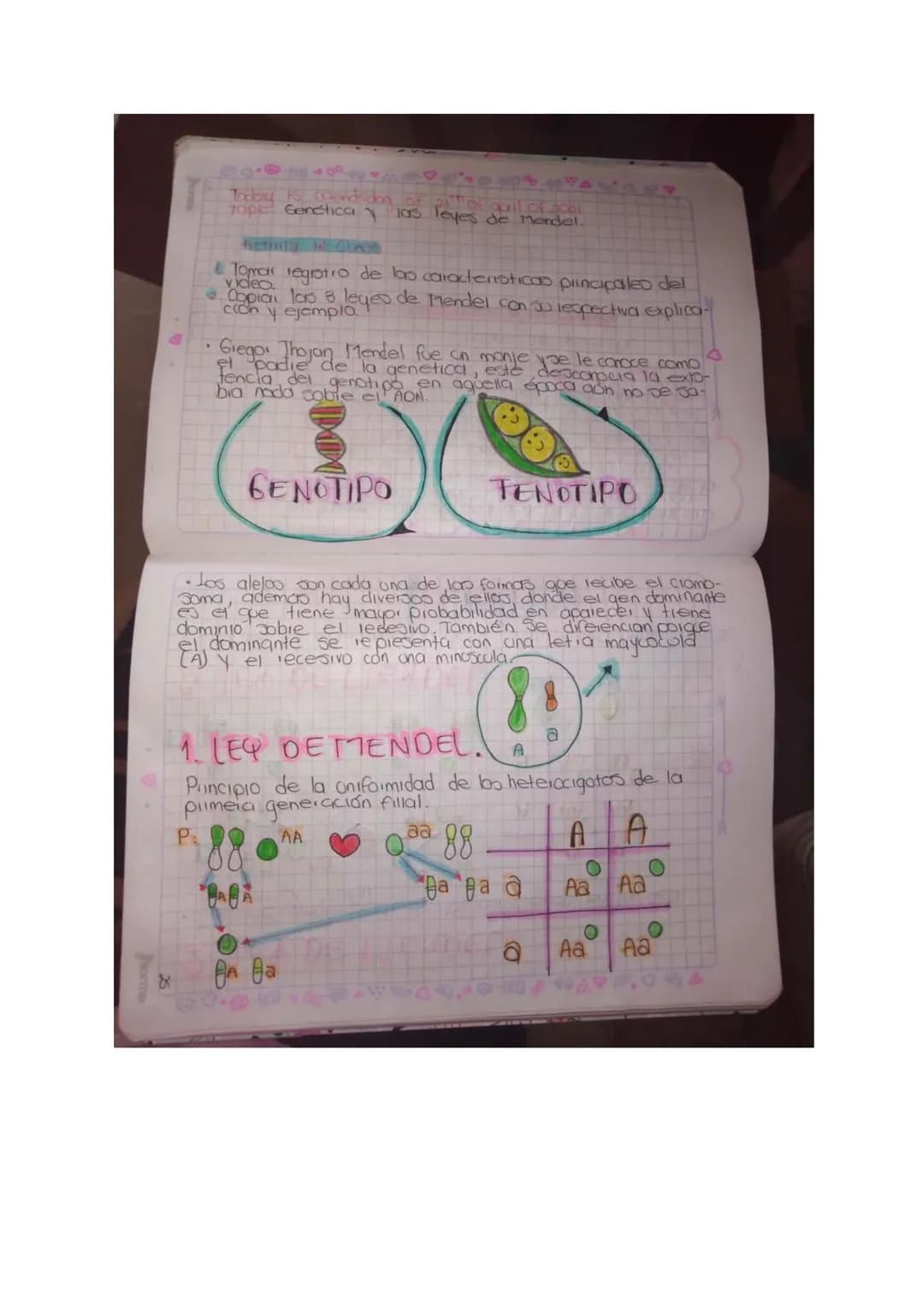 Nor
## LICEO MANDEL ELLIN PATARROPO
ASIGNATURA: Ciencias naturales.
CURSO: Novero-902
ESTUDIANTE: Qluego Quiroga gaia Ferranda.
PERIODO: 11
