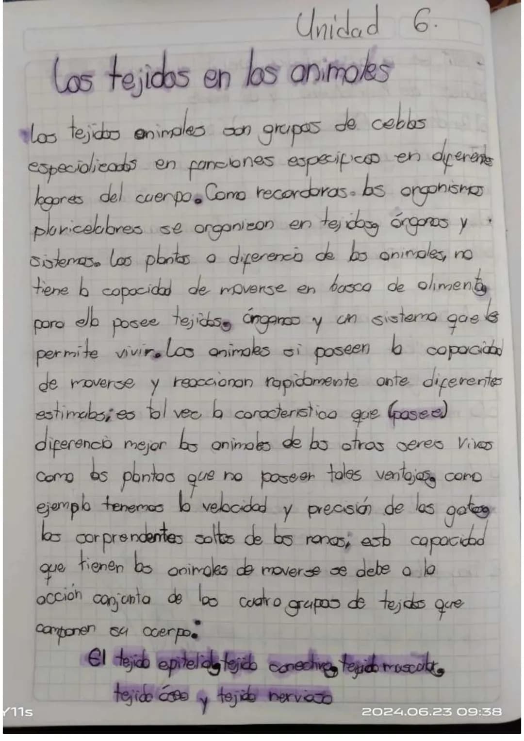## Unidad 6.
# Los tejidos en los animales
* Las tejidos animales. son grupas de celblos especializados en fonciones especificos en diferent