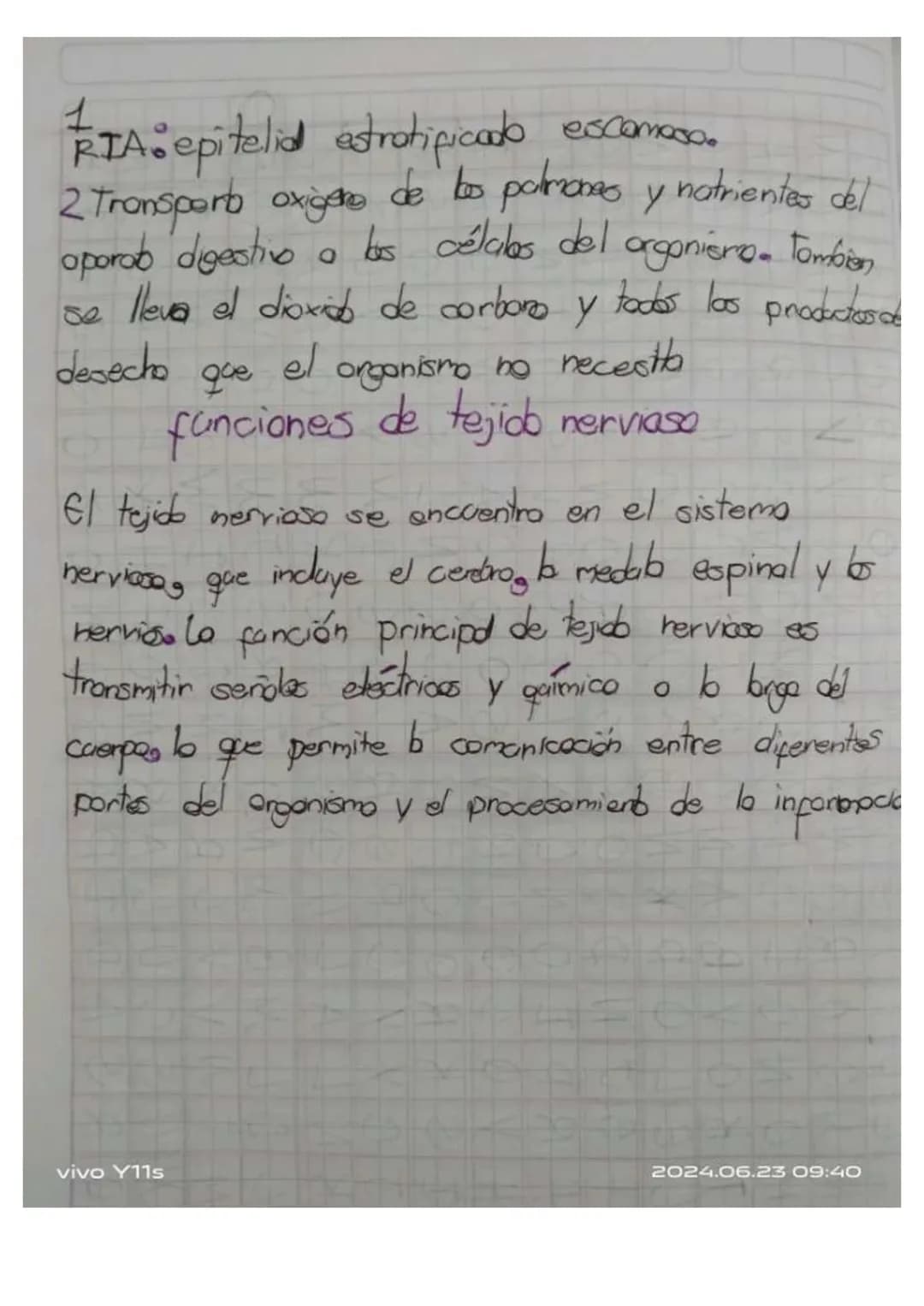 ## Unidad 6.
# Los tejidos en los animales
* Las tejidos animales. son grupas de celblos especializados en fonciones especificos en diferent