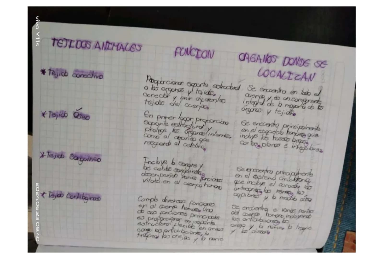 ## Unidad 6.
# Los tejidos en los animales
* Las tejidos animales. son grupas de celblos especializados en fonciones especificos en diferent