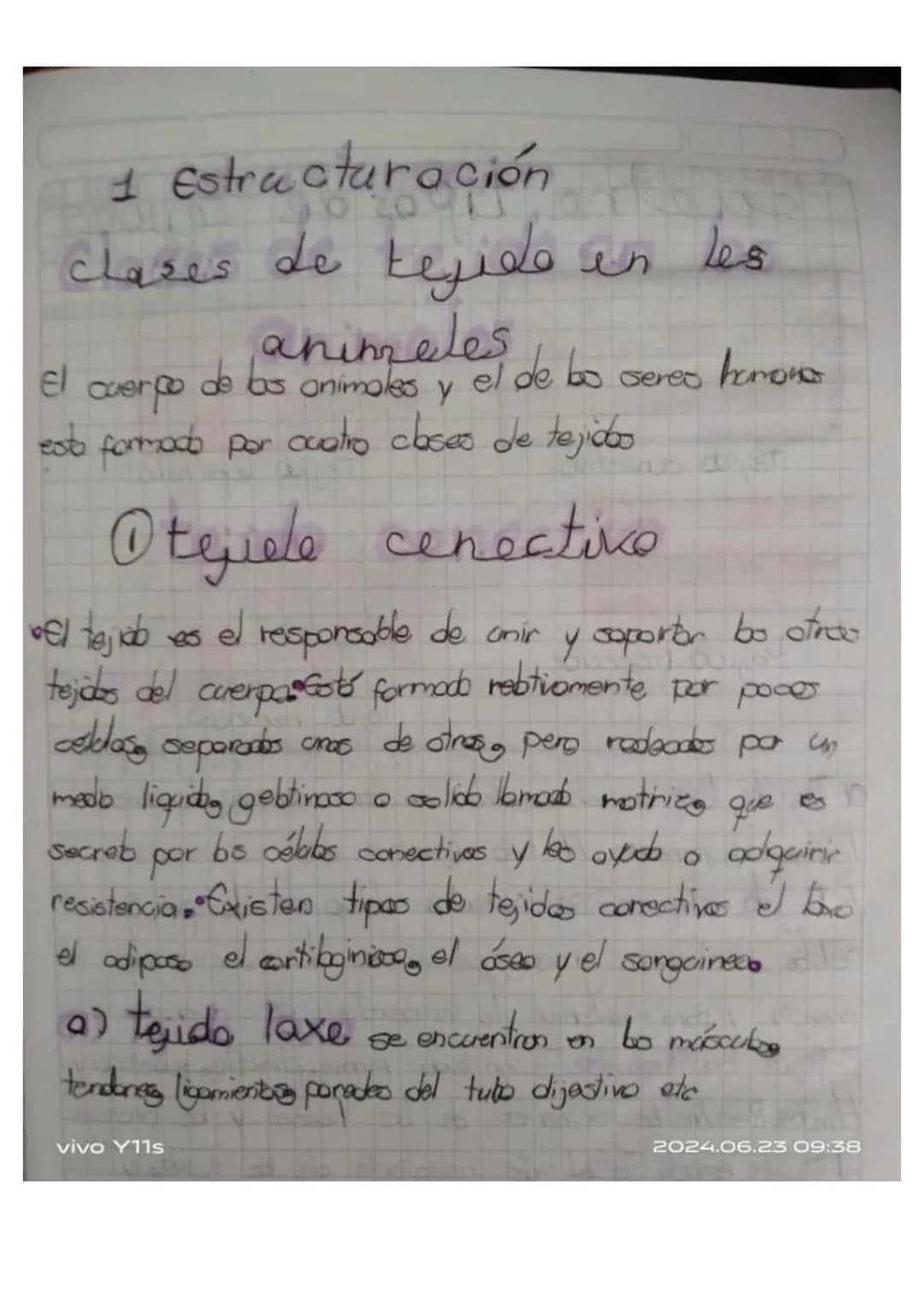 ## Unidad 6.
# Los tejidos en los animales
* Las tejidos animales. son grupas de celblos especializados en fonciones especificos en diferent