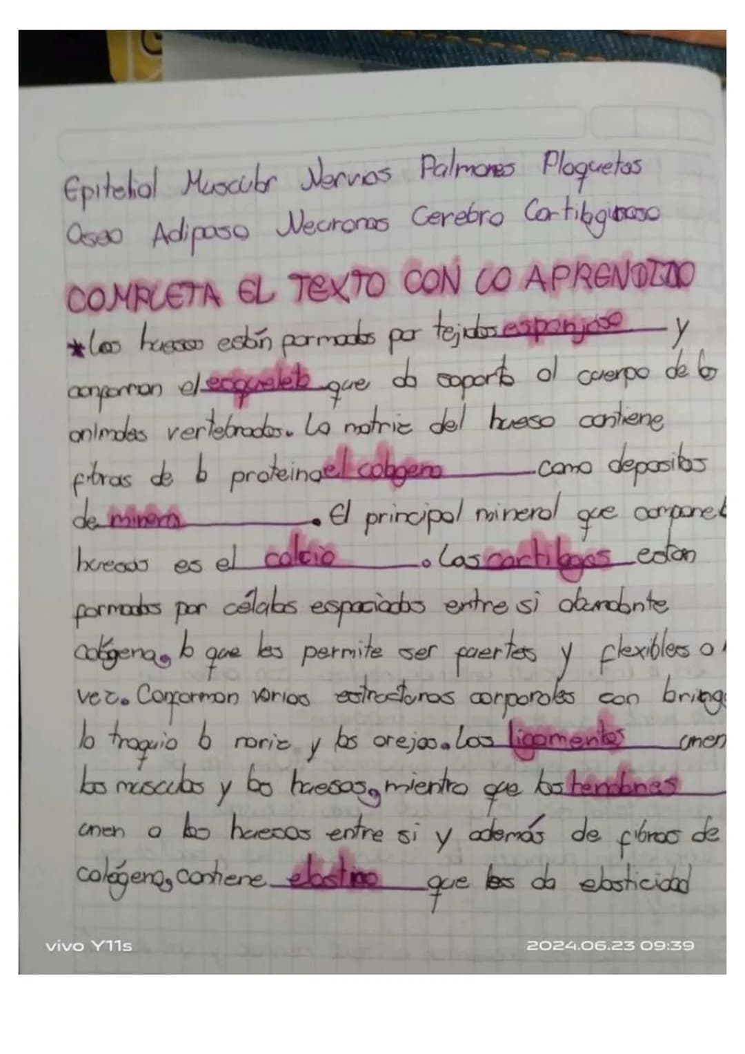 ## Unidad 6.
# Los tejidos en los animales
* Las tejidos animales. son grupas de celblos especializados en fonciones especificos en diferent