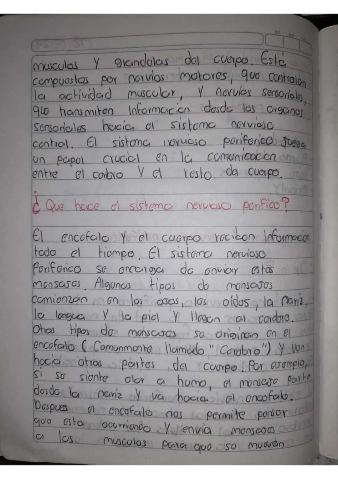 # Sistema nervioso periférico
## ¿Que es?
El sistema nervioso periférico en los
Seres humanos es la red de nervios
que se encuentra fuera