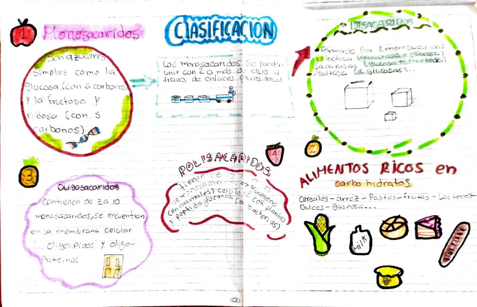 # Carbohidratos
Carbono
+
Moleculas de agua
Tambien se llaman azúcares, glucidos o Sacaridos
## ¿Que Son?
- Son biomolecolas compuestas por
