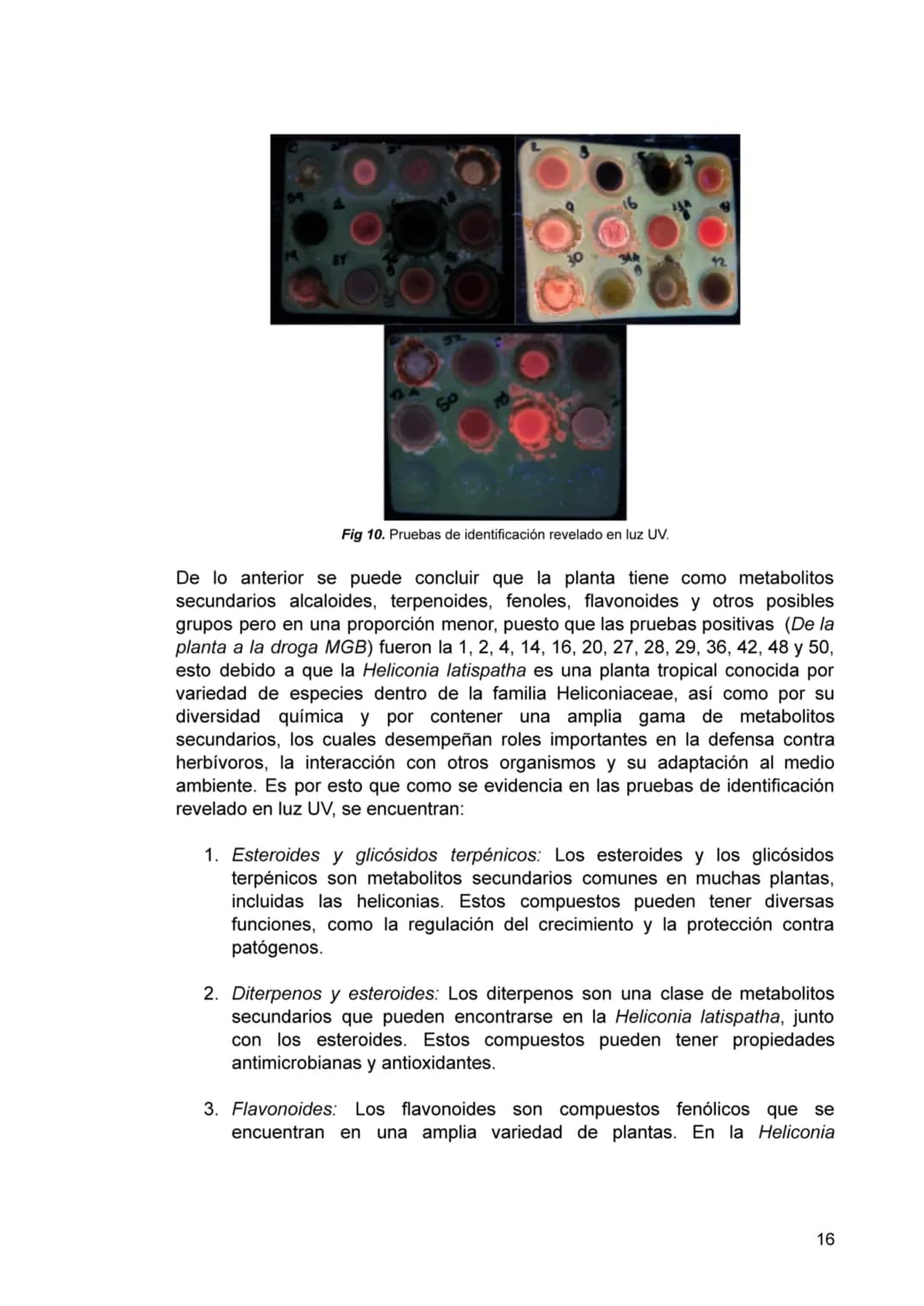 # TABLA DE CONTENIDO
1. INTRODUCCIÓN. 3
2. ANTECEDENTES. 4
3. JUSTIFICACIÓN. 5
4. OBJETIVOS. 6
4.1 OBJETIVO GENERAL. 6
4.2 OBJETIVOS
