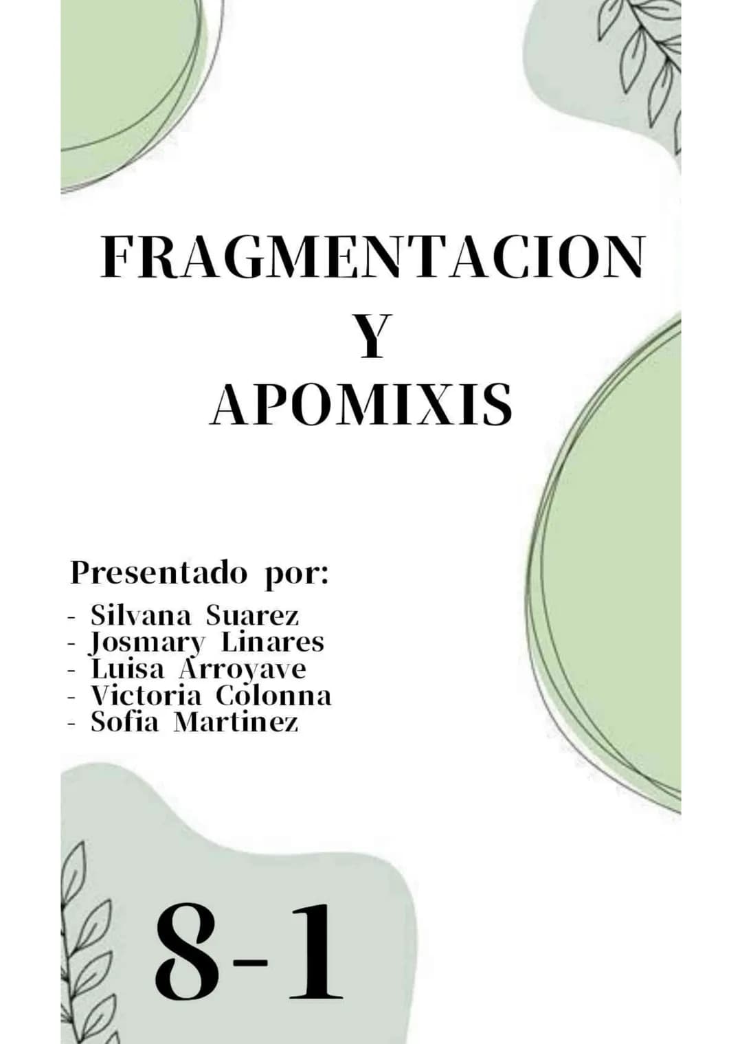 FRAGMENTACION
Y
APOMIXIS
Presentado por:
- Silvana Suarez
- Josmary Linares
- Luisa Arroyave
- Victoria Colonna
- Sofia Martinez
8-1 # FRA