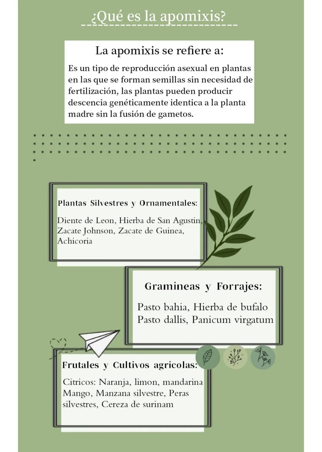 FRAGMENTACION
Y
APOMIXIS
Presentado por:
- Silvana Suarez
- Josmary Linares
- Luisa Arroyave
- Victoria Colonna
- Sofia Martinez
8-1 # FRA