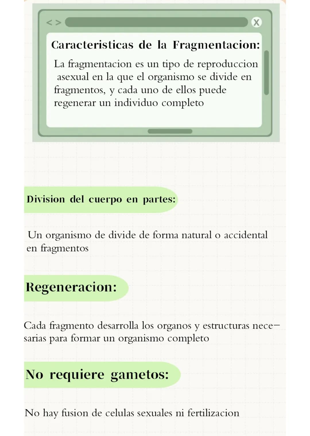 FRAGMENTACION
Y
APOMIXIS
Presentado por:
- Silvana Suarez
- Josmary Linares
- Luisa Arroyave
- Victoria Colonna
- Sofia Martinez
8-1 # FRA